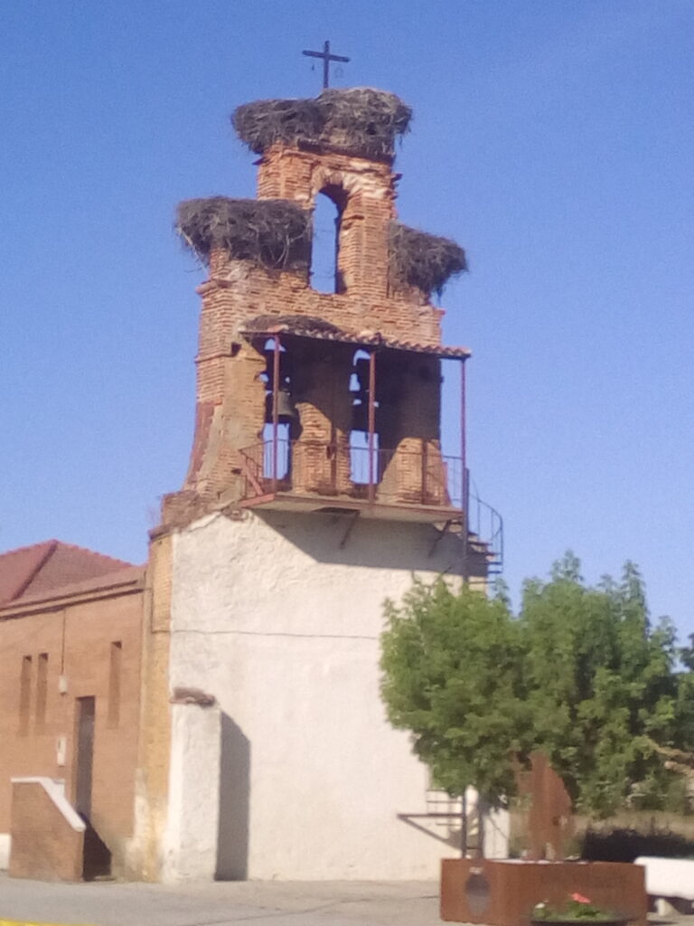 nids de cigognes