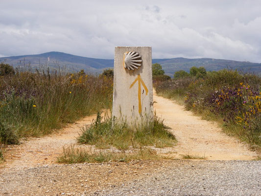 le chemin est bien marqué
