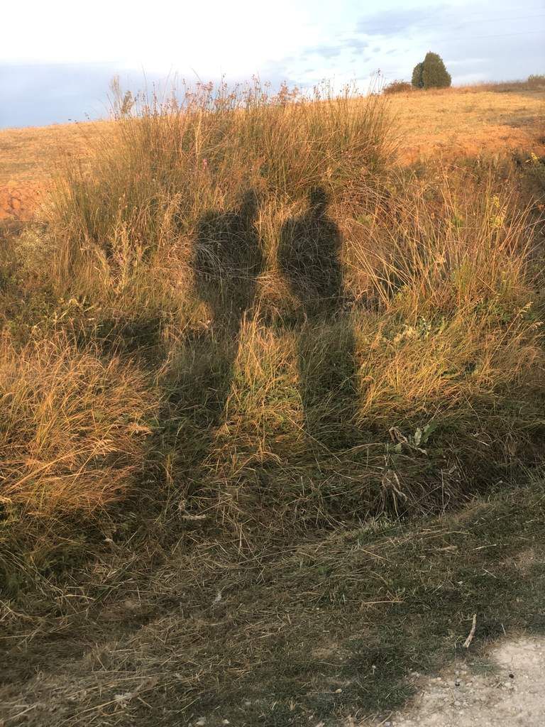nos ombres au petit matin