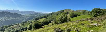 paysage sur le chemin